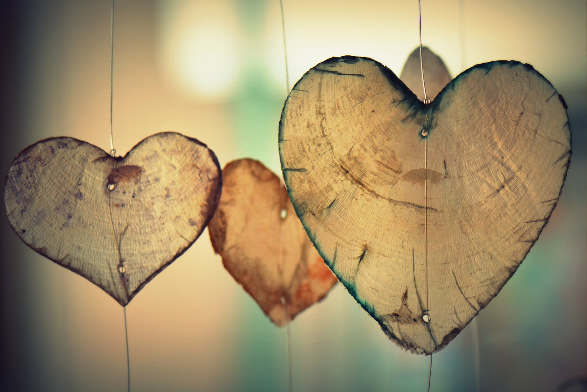 heart-love-romance-valentine.jpg
